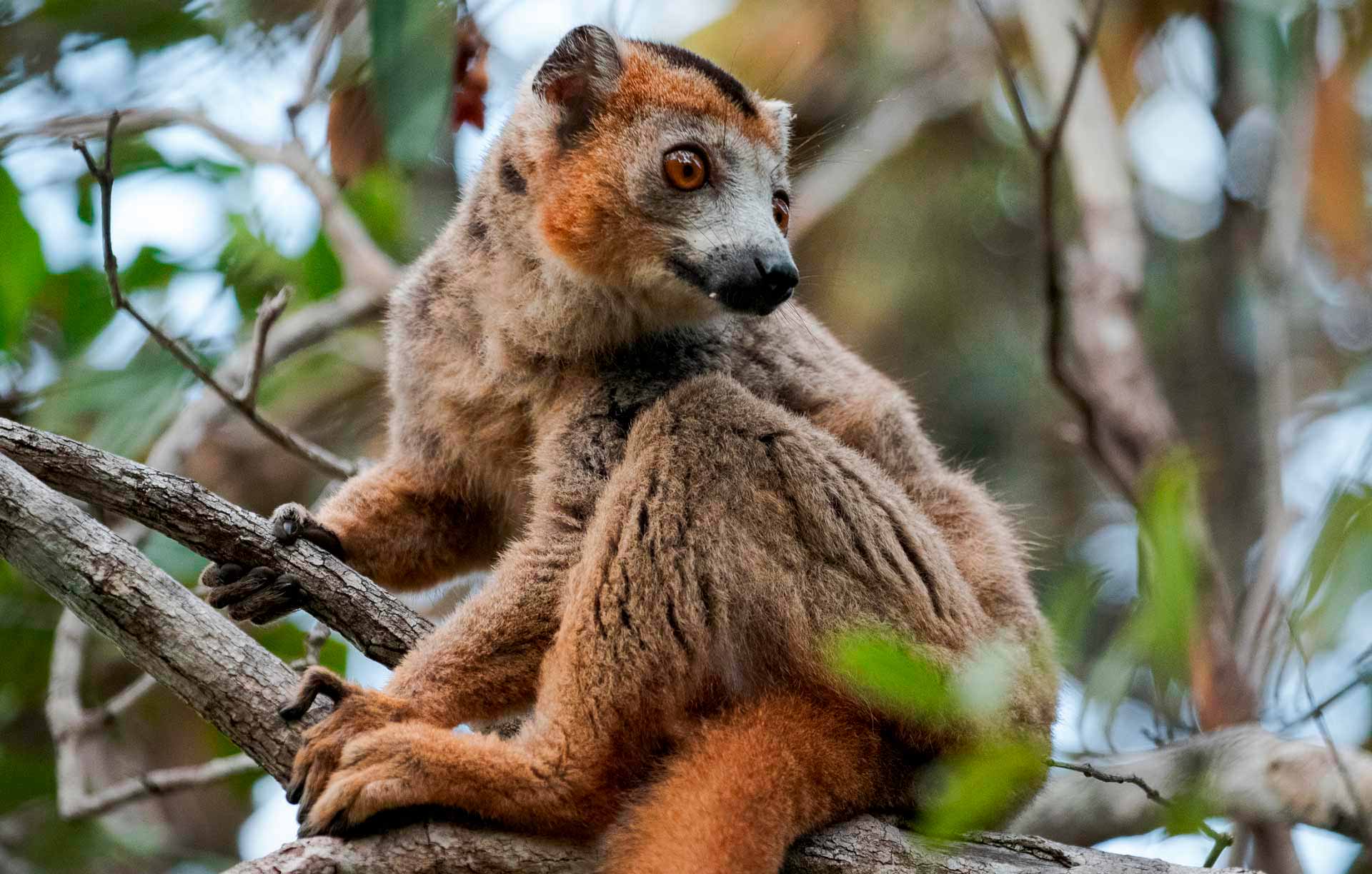 MADAGASCAR_ANER_ETXEBARRIA